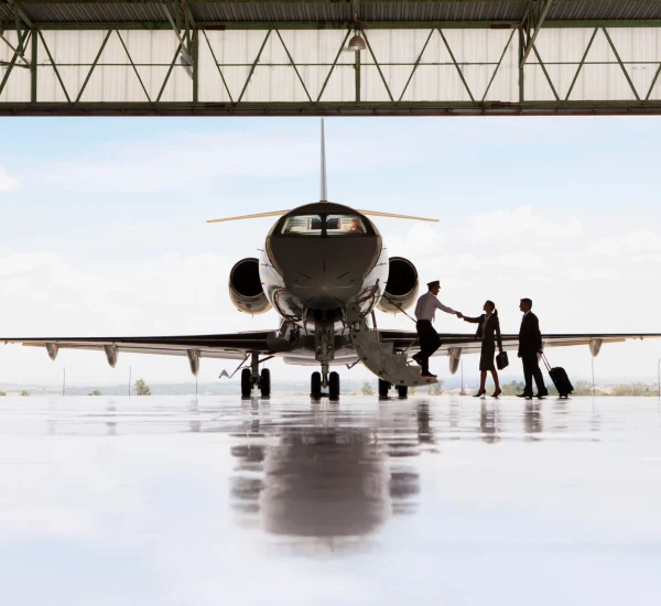 hangar system 2